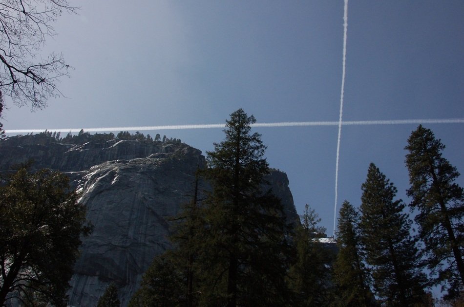Contrails Sky Mountain Forest