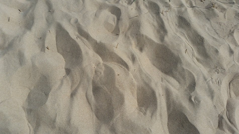 Sand Dune Background Holland