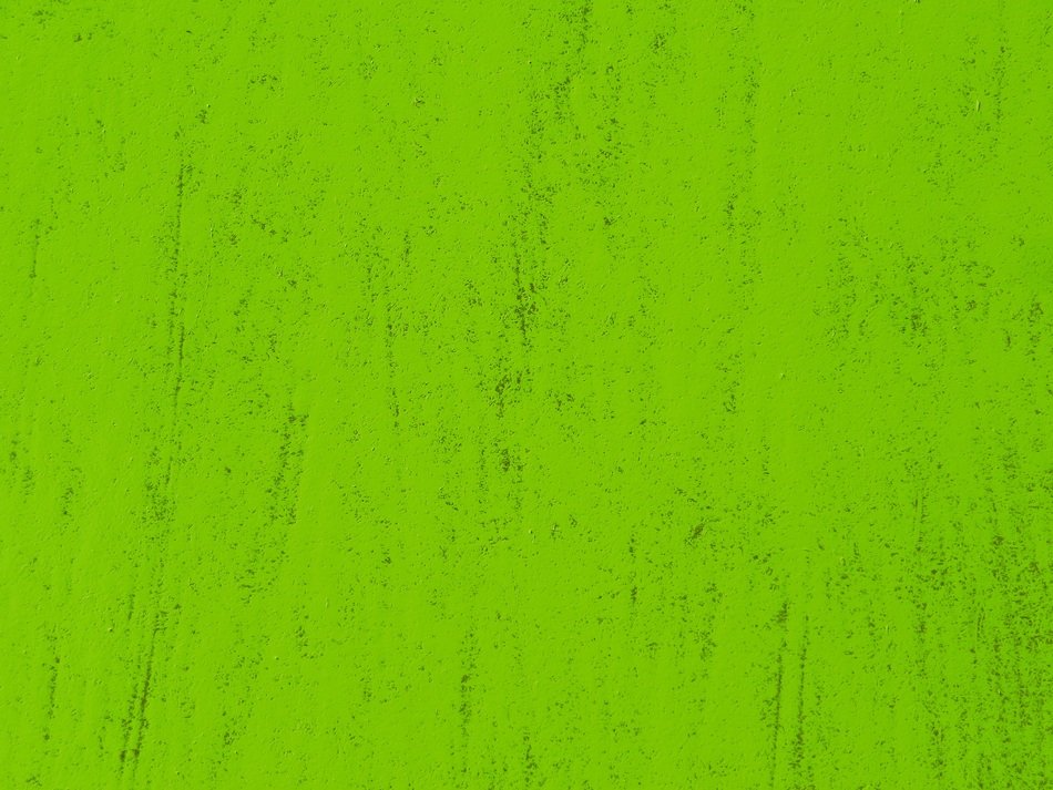 background with light green wall