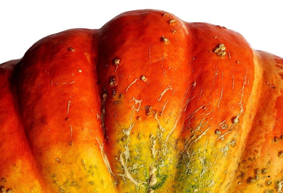 wallpaper with details of pumpkin
