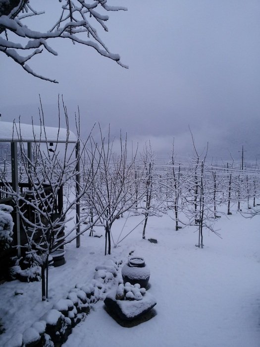 Winter Background Winter