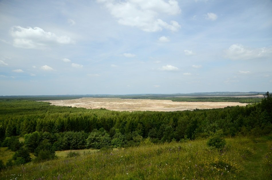 Desert Desert Błędowska Forest