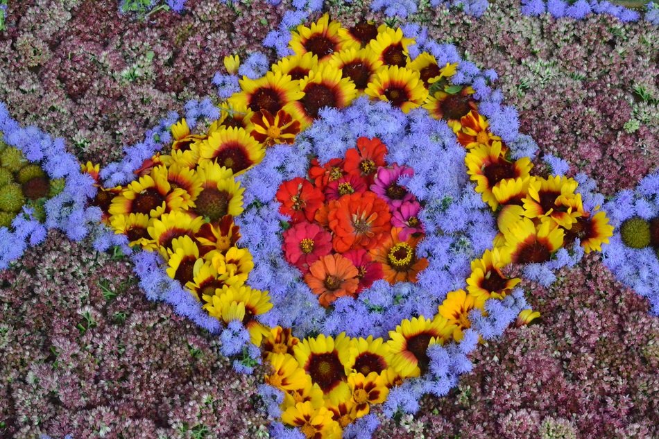garden bed with pattern made of flowers