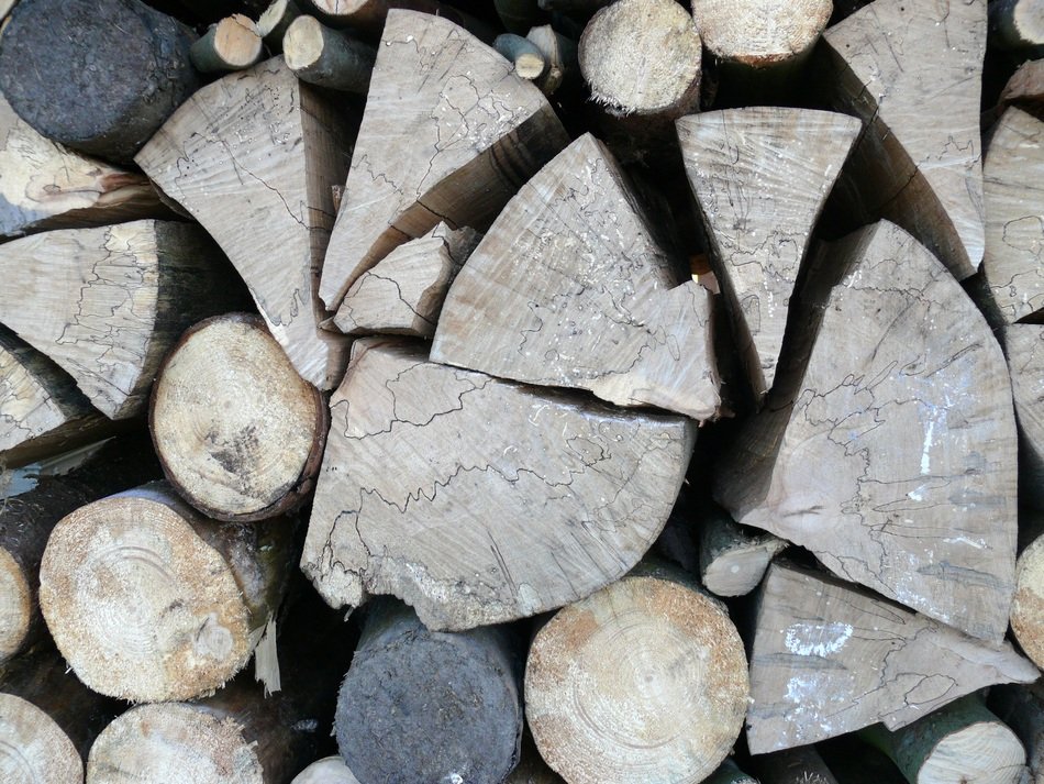 Aesthetic Tree Trunks Structure