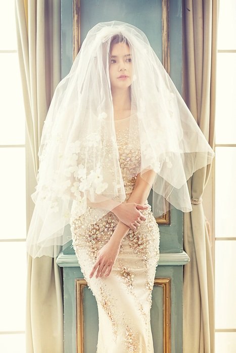 the bride with a veil on the background of the door