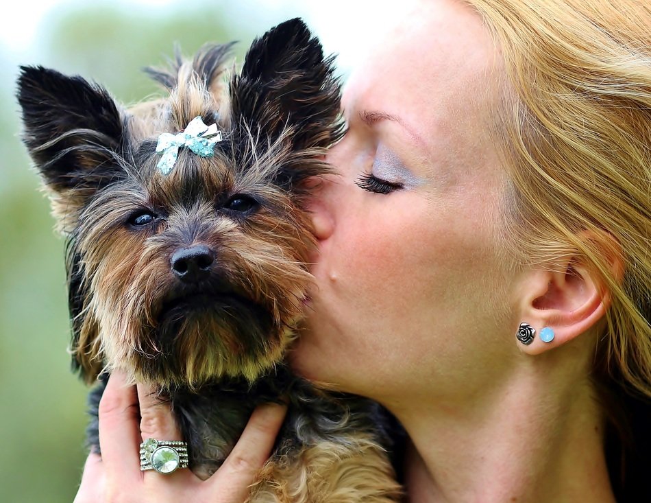 kisses of beautiful woman with yorkie