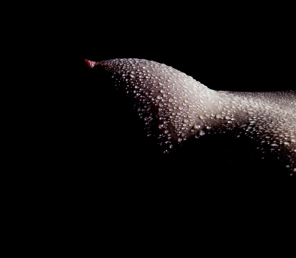 drops of water on the female breast