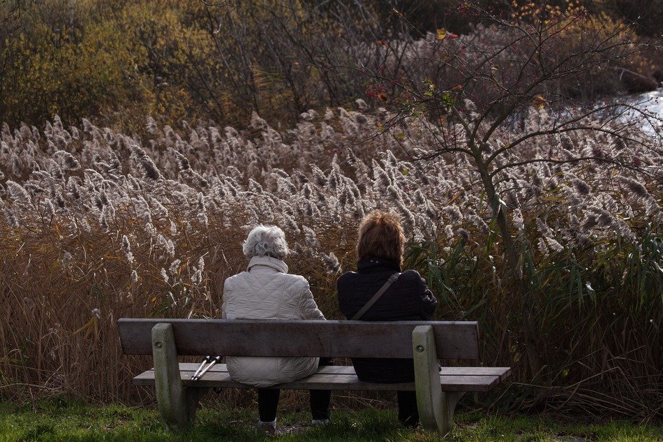 women resting on a bench in high grass