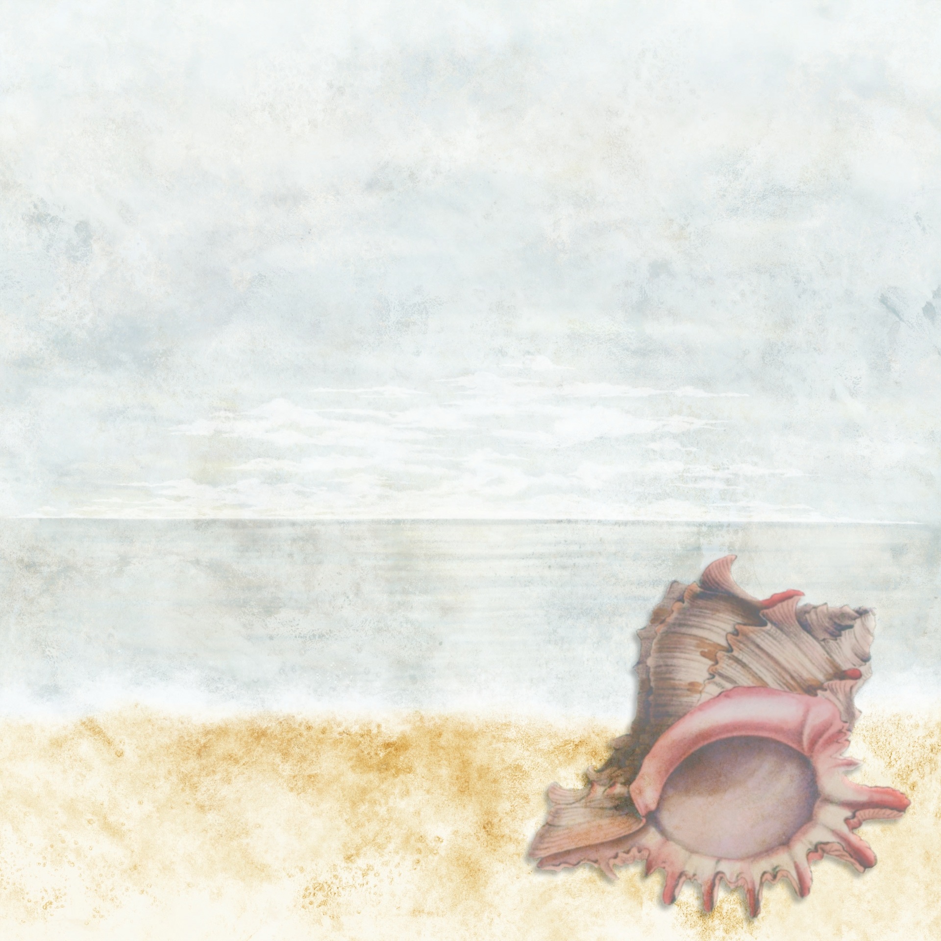 Shell Design Pink drawing free image download