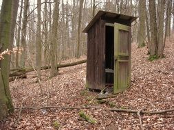 Public Toilet in forest