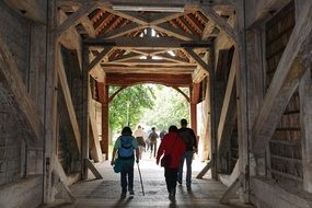 Wooden Bridge Hiking