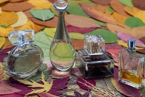 Perfumes in Bottles stand on autumn leaves