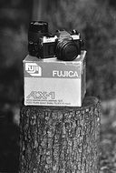 vintage camera on the log