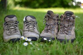 Hiking Shoes on a grass