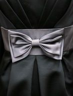 Satin Bow Fashion Couture Dress