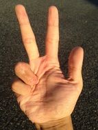 sign world with fingers