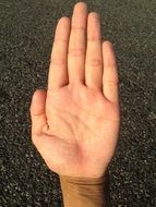 human hand on concrete wall background