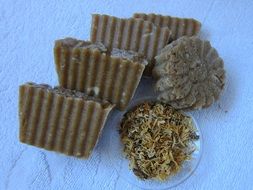 calendula for natural cosmetics