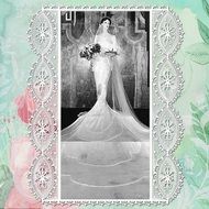 portrait of a bride in lace frame