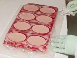 soap in silicone form and in film