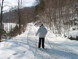 cross-country skiing in the forest