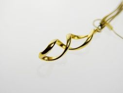 isolated beautiful earring