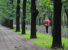 woman under a red umbrella in the park in the rain