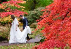 newlyweds on the background of multi-colored trees in Japan