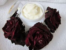 skin cream and dried roses