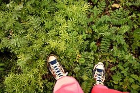 standing human on a green grass
