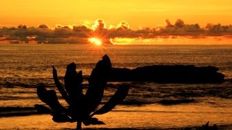 Nature beautiful Sunset