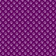 Fashion Purple Transparent drawing