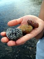 multi-colored stones on a female hand