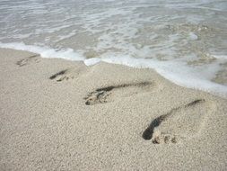 Footprints on sand sea