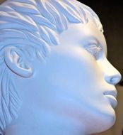 profile portrait of a display dummy