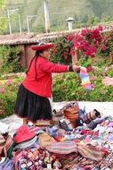 Peruvian woman engaged in craft