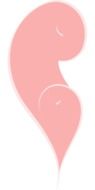 pink half heart on white background