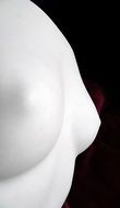 white breast mannequin