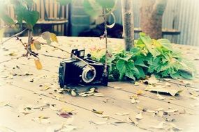 retro camera and autumn leaves on the table