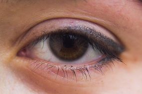 Eyelashes Woman