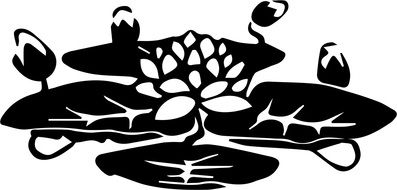 black drawing water lily on a white background