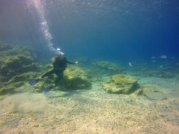 girl-diver in the underwater world