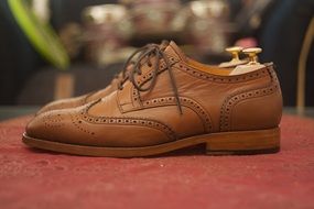 brown classic shoes