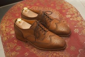 elegant classic shoes