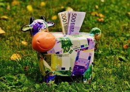 Colorful piggy bank on the grass