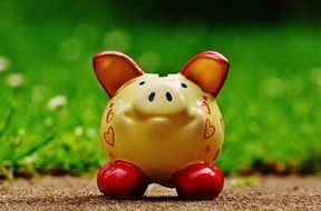 cute ceramic pig on grass