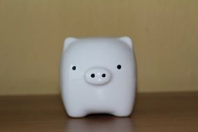 white pig like a piggy bank