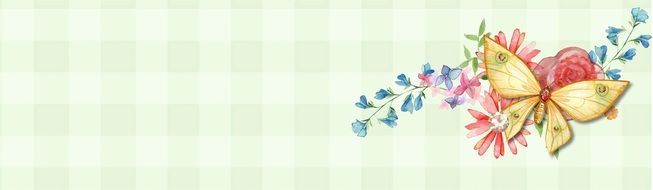 banner with the image of butterflies and garden flowers on a checkered background