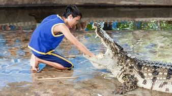 hand of a man in the mouth of a crocodile in Thailand