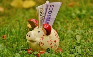 ceramic pig with euro banknotes